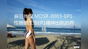 麻豆传媒 MDSR-0003-EP1 性婚姻生活EP1精神出轨的界线