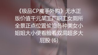 《极品CP魔手外购》无水正版价值千元某工厂职工女厕所全景正点位置偸拍各种美女小姐姐大小便看脸看双洞超多大屁股 (6)