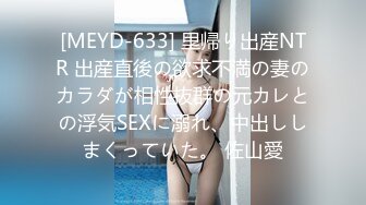 [MEYD-633] 里帰り出産NTR 出産直後の欲求不満の妻のカラダが相性抜群の元カレとの浮気SEXに溺れ、中出ししまくっていた。 佐山愛