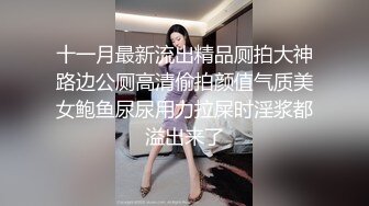 十一月最新流出精品厕拍大神路边公厕高清偷拍颜值气质美女鲍鱼尿尿用力拉屎时淫浆都溢出来了