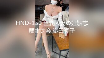 HND-150 巨乳人妻の妊娠志願オフ会 織田真子