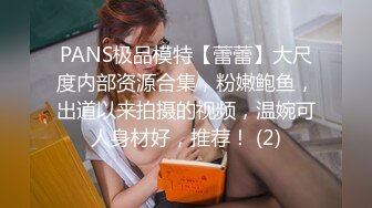 PANS极品模特【蕾蕾】大尺度内部资源合集，粉嫩鲍鱼，出道以来拍摄的视频，温婉可人身材好，推荐！ (2)